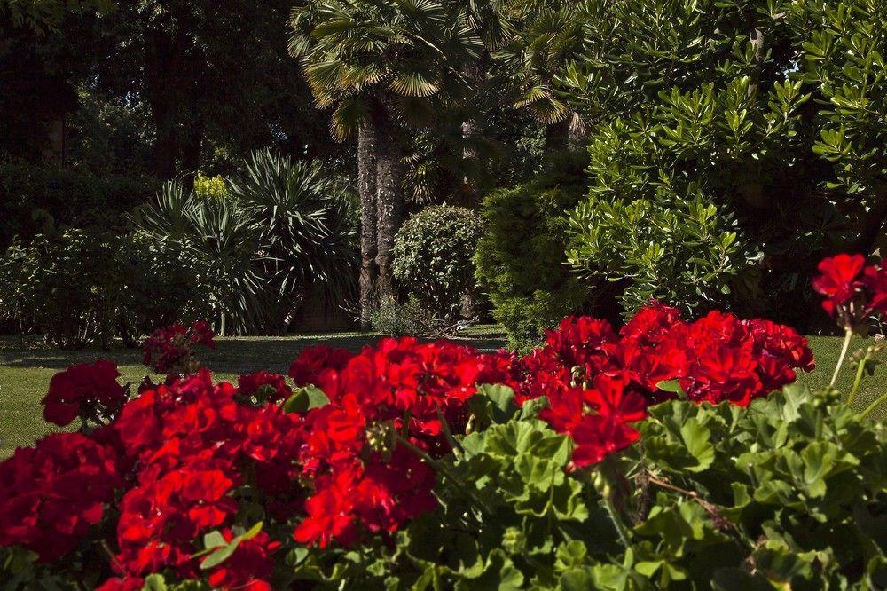 Hotel Miramare Civitanova Marche Exterior photo